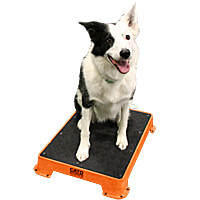 Cato Board Training Platform - Rubber Surface